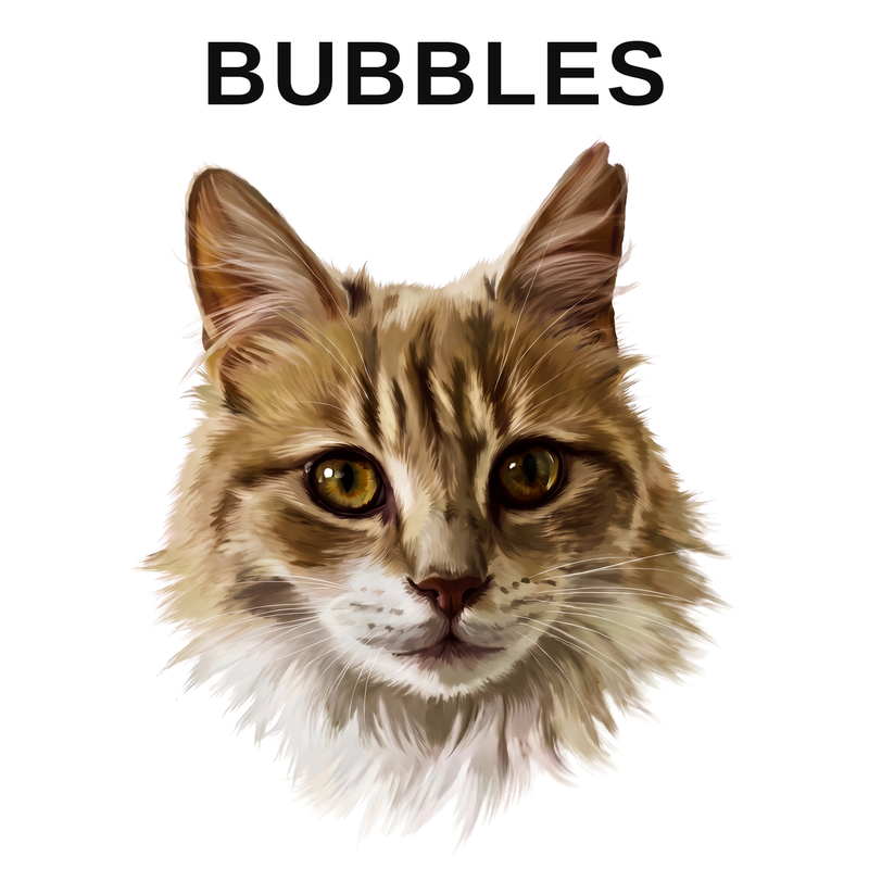 The pet portrait created from the customer's photo